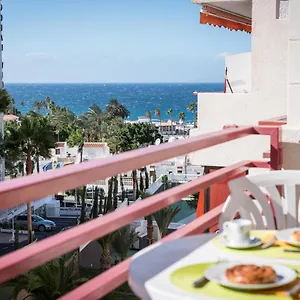 https://421-nice-olympia-central-studio.in-canary-islands.com